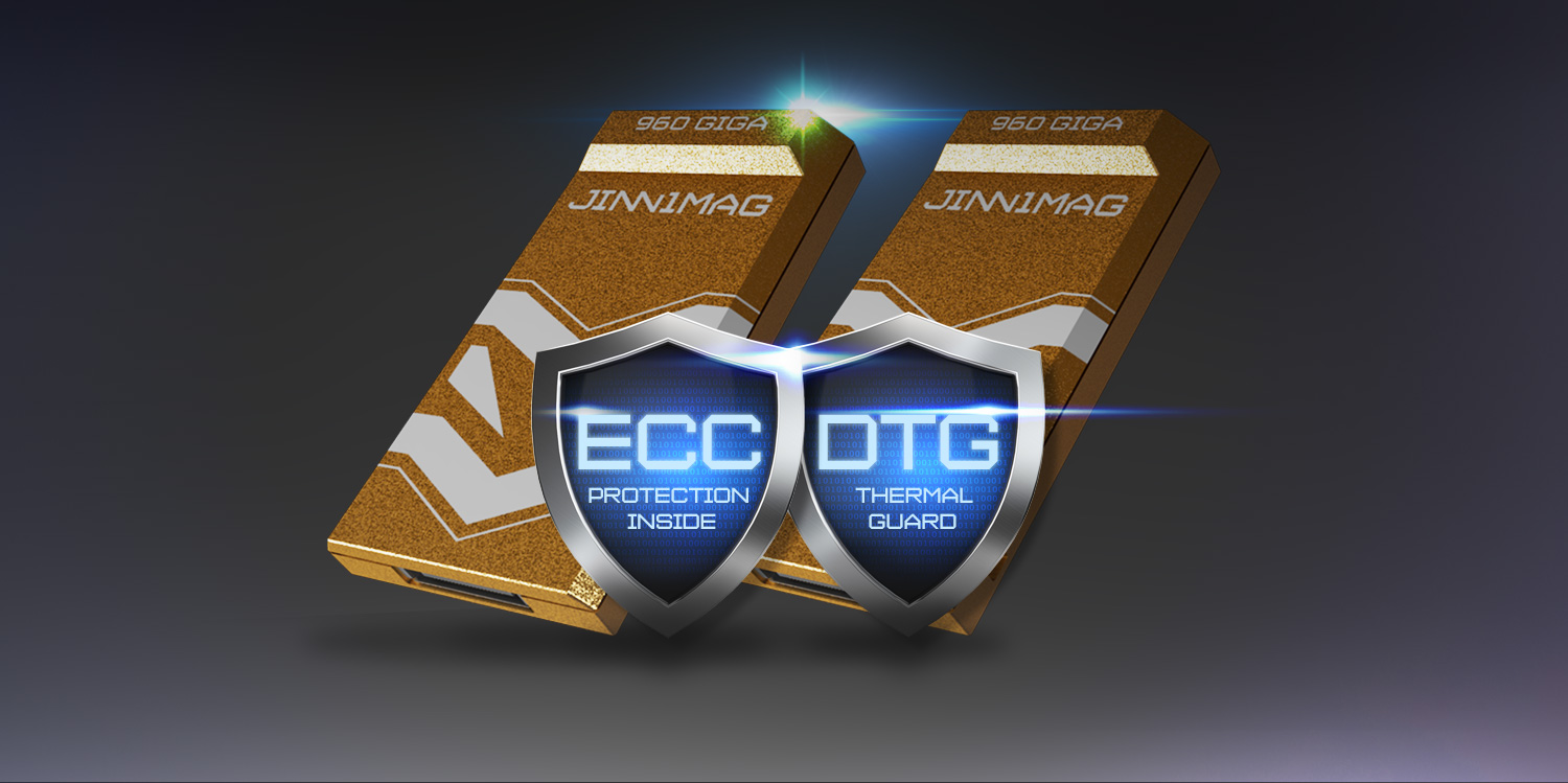 JinniMag 1TB ECC and DTG Protection